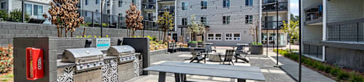 Outdoor Grill and Picnic Tables at Delphine on Diamond in San Francisco, CA 94131