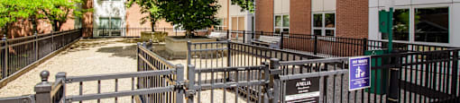 Dog Park at The Amelia in Quincy, MA 02169