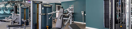 a gym with weights and cardio equipment in a room with green walls