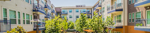 an apartment courtyard with grass and trees in the middle of it at South Side Flats, Dallas, TX