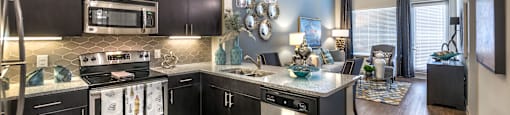 a kitchen with stainless steel appliances and a counter top at South Side Flats, Dallas, TX