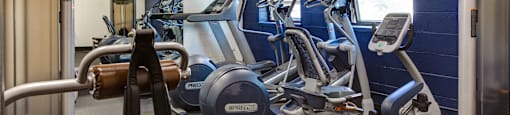a gym with cardio equipment and weights in a building at Willow Hill Apartments, Justice, Illinois