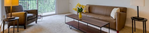 a living room with a couch and a chair and a table at Willow Hill Apartments, Illinois, 60458
