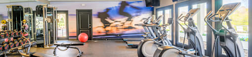 State-of-the-Art Resident Gym with Cardio and Weight Training Equipment at Ashford Green, NC 28262