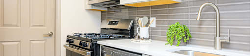 Kitchen 3_model Atria at Atria at Crabtree Valley, Raleigh, 27612