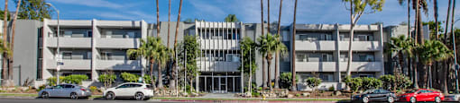 a group of tall palm trees in front of an apartment building at Candlewood North, Northridge, California