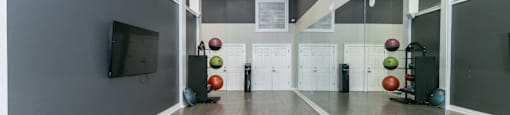 a fitness room with weights and a tv on the wall  at Deerfield Village, Georgia