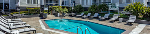 Delphine - Pool Area at Delphine on Diamond, San Francisco, CA