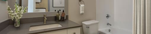 a bathroom with a sink and a toilet and a tub at Delphine on Diamond, California