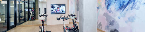 Gym at G12, California
