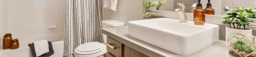 a bathroom with a sink and a toilet and a shower at Mirasol Apartments, Nevada