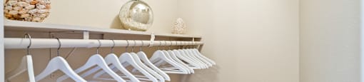 Huge closet in primary bedroom at River Oaks in Oceanside, CA