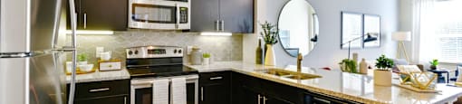 a kitchen with stainless steel appliances and black cabinets at South Side Flats, Dallas, 75215