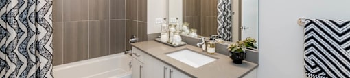a bathroom with a shower and a sink and a mirror at The Elle Apartments, Chicago, IL