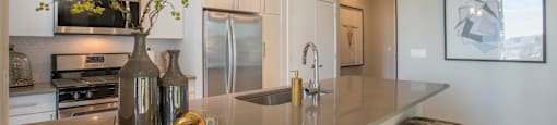 Gourmet Kitchen at The Elle Apartments, Chicago, Illinois