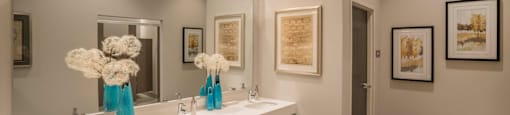 Luxurious Bathroom at The Elle Apartments, Illinois