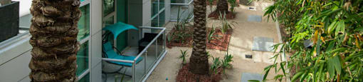 a group of palm trees in front of a building  at Vue, San Pedro, 90731