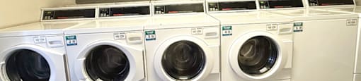 A row of washing machines are lined up in a laundromat.
