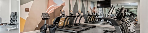 a gym with rows of cardio machines and a wall mural