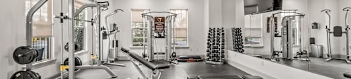 a gym with a row of barbells in a room with a mirrored wall