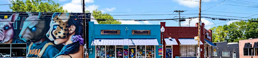 a mural on the side of a building on a city street at The Collection Charlotte in Charlotte, NC, 28205