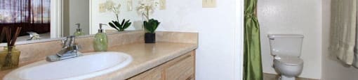 Bathroom with sink and toilet at Loma Linda Springs, California