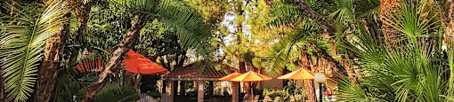 A pool surrounded by palm trees and umbrellas  at Victoria Springs, Riverside, CA 92504