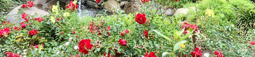 A garden with a waterfall and red flowers  at Victoria Springs, Riverside, CA 92504