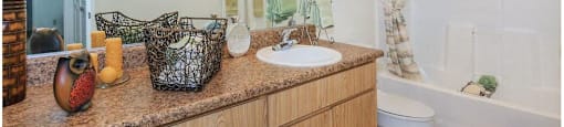 a bathroom with a sink and a toilet and a mirror at Riverview Springs, Oceanside, CA,92058