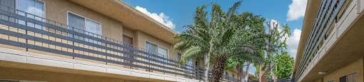 a building with palm trees in a courtyard at Villa La Paz Apartments, Bellflower, California