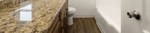 a bathroom with a sink and a toilet