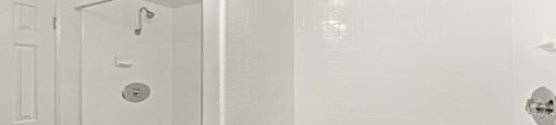 a bathroom with a sink and a shower and a mirror