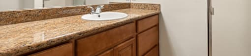 a bathroom with a sink and a shower