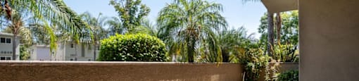 A concrete patio with a wall and trees in the background.