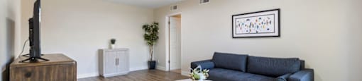 Living Room With TV at Lombardi Apartments, California, 91367