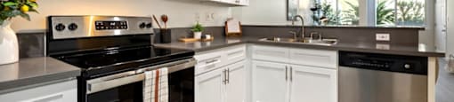 Stainless Steel Appliances at The Reserve at Warner Center Apartments, Woodland Hills, CA
