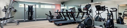 the gym is equipped with state of the art equipment