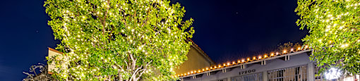 Holiday Lights Brookside Terrace Apartments