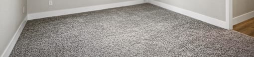 A room with a carpeted floor and a window showing trees outside.