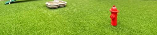 Dog Park at Parkway Plaza Apartments, California, 90230