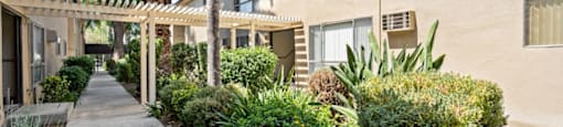 Exterior courtyard in Canoga Park Apartments