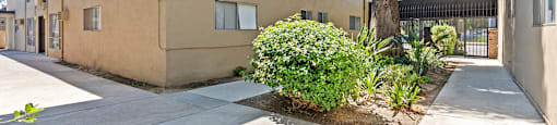 Parthenia Terrace Apartments exterior walkway