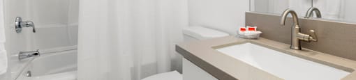Upgraded Bathroom Counter and Shower