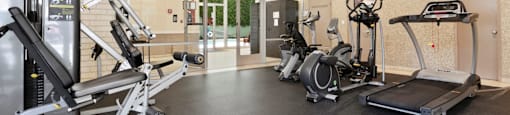 Pet-Friendly Apartments in Encino, CA - White Oak Terrace - Fully Equipped Gym, Padded Floorings, Floor-to-Ceiling Windows, and Mounted Television