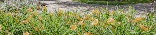 Green Courtyard at Huntington Green Apartments, University Heights, Ohio