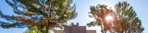 A modern building with a flat roof and large windows is surrounded by trees.