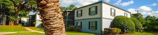 a palm tree in front of a house at Planters Trace Apartment Homes, Charleston, SC 29414