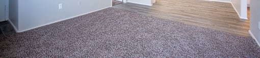 Plush Carpeting at The Vintage Apartments, Tucson