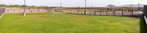 A large, well-maintained grassy field with a fence and street lights.