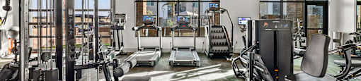 A gym with a variety of equipment including a treadmill, weights, and a bench press.